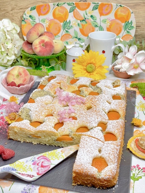 Blechkuchen mit Aprikosen