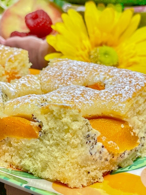 Blechkuchen mit Aprikosen