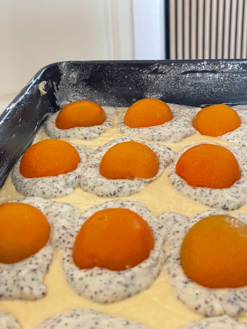 Blechkuchen mit Aprikosen