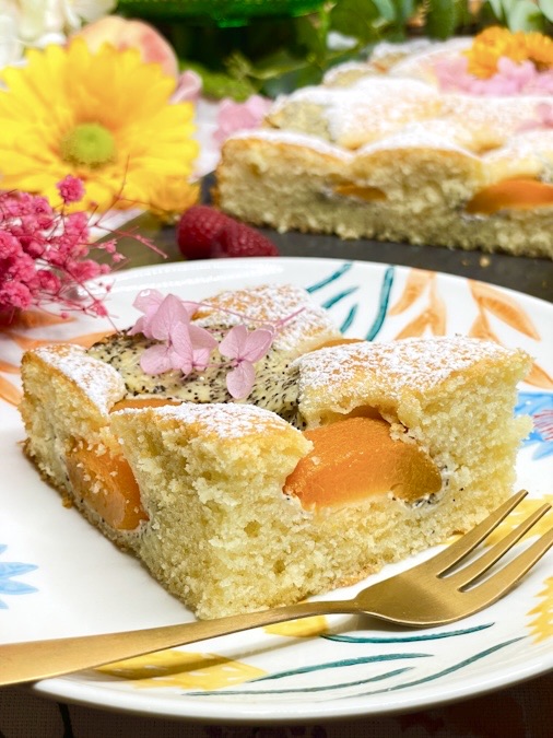 Blechkuchen mit Aprikosen