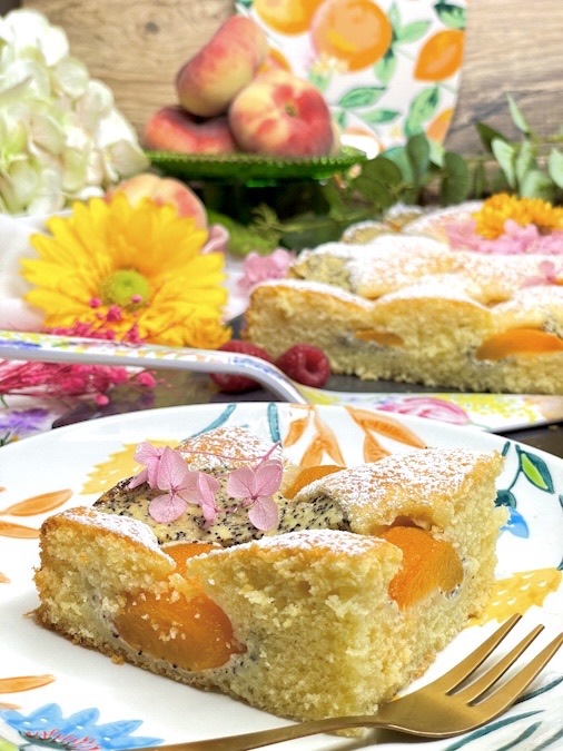 Blechkuchen mit Aprikosen