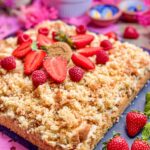 Maulwurfkuchen vom Blech
