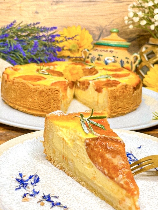 Käsekuchen mit Aprikosen
