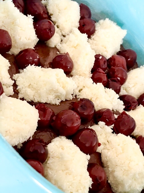 Schoko-Kokos-Kuchen