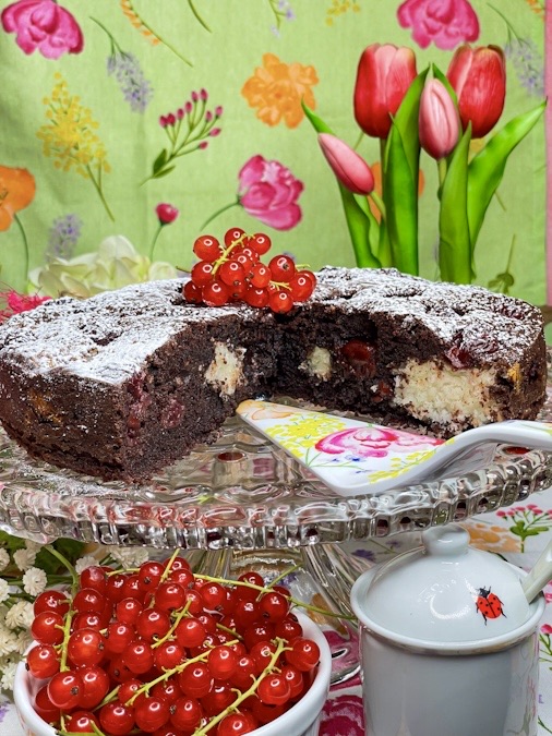 Schoko-Kokos-Kuchen