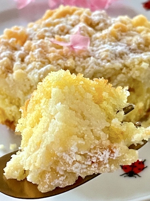 Streuselkuchen vom Blech Streuselkuchen vom Blech