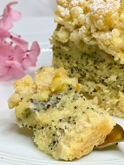 Apfel-Mohnkuchen